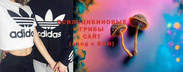 соль ск Протвино