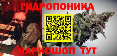 соль ск Лесосибирск