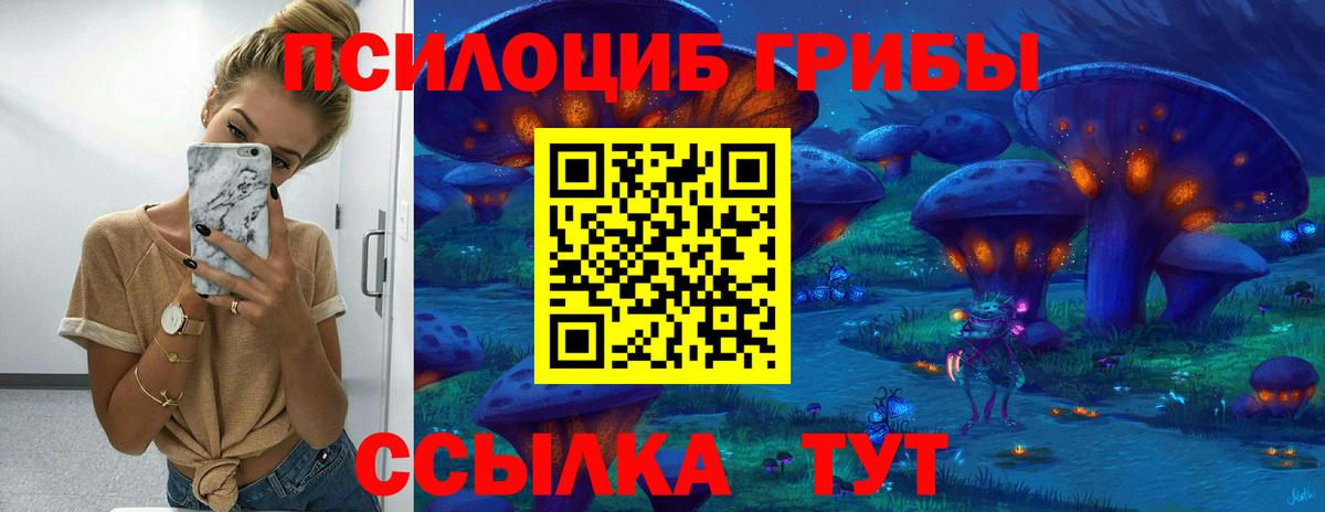 Меф МЯУ МЯУ кристаллы  Конопля  ЭКСТАЗИ  Вход с VPN  Гашиш  NBOMe  Саяногорск  Как найти наркотики?  А ПВП СОЛЬ кристаллы  ГАШИШ 