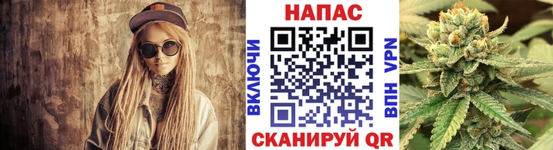 Каннабис сатива  что такое   Саяногорск 